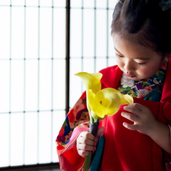 華尽（被布）3歳向けアンティーク着物レンタル