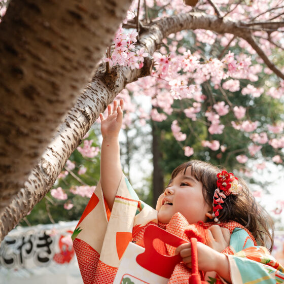 古都 3歳〜4歳向けアンティーク着物レンタル